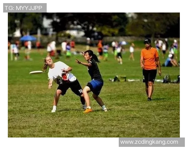 实时新闻南京飞盘队耐力之争引发热议赛场背后的坚持与挑战